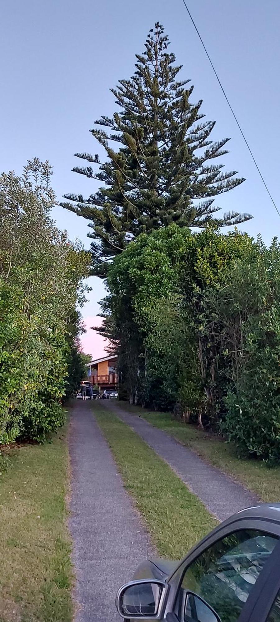Haley'S Cabin Tauranga Eksteriør billede
